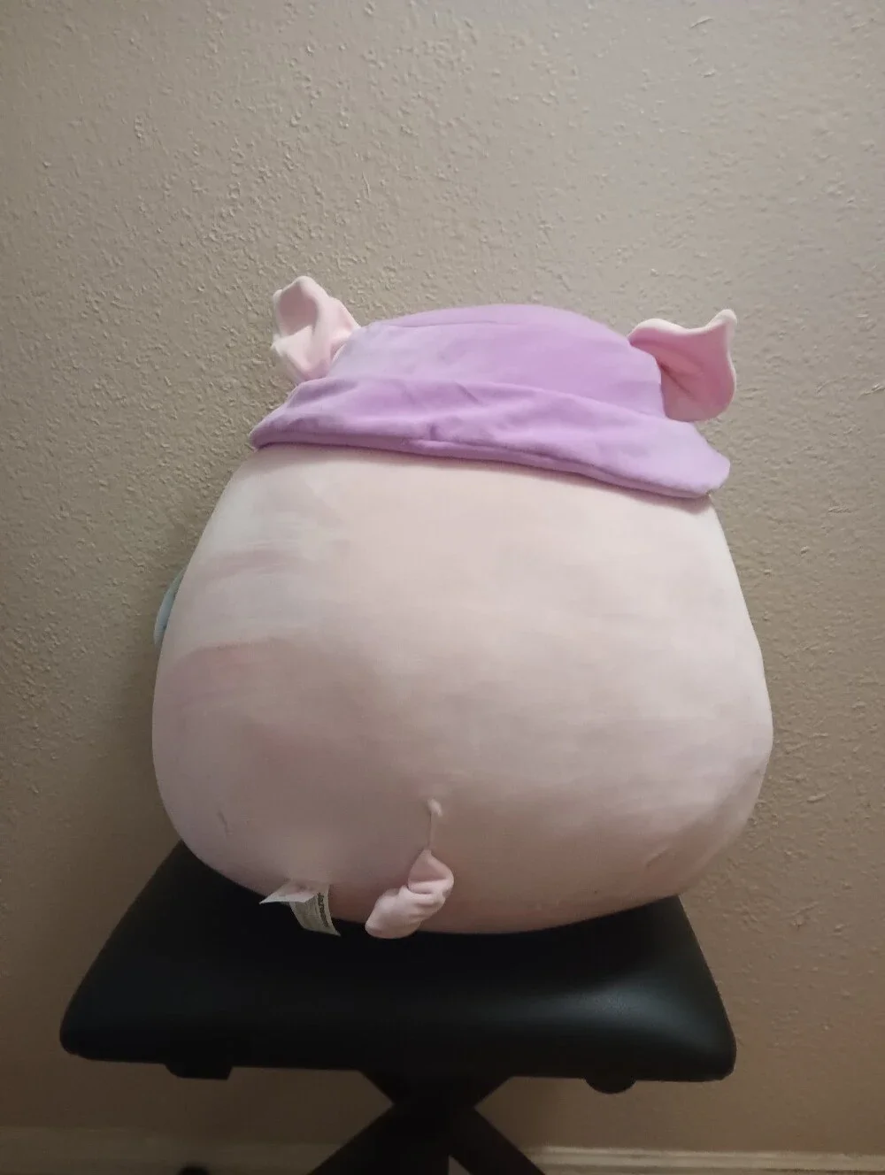 Squishmallow Peter the Pig 16